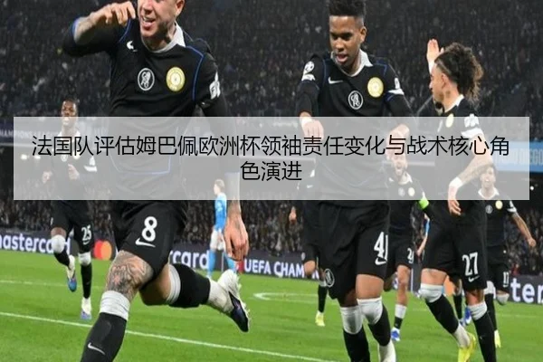 fa-guo-dui-ping-gu-mu-ba-pei-ou-zhou-bei-ling-xiu-ze-ren-bian-hua-yu-zhan-shu-he-xin-jue-se-yan-jin-2-895.jpg