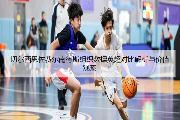 切尔西恩佐费尔南德斯组织数据英超对比解析与价值观察